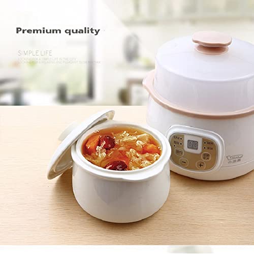 REJOON 220 V Multifunktionaler Slow Cooker Dampfgarer Heizbecher Hot Pot Elektrischer Reiskocher Edelstahl Dampfgarer Lebensmittelkocher (Color : White)