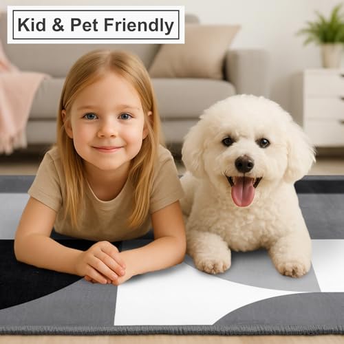 Tapis géométrique moderne lavable Petmolico dimensions 4x6 en textile résistant