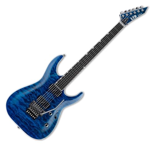 ESP LTD MH-1000 �u���b�N�I�[�V�����G���L�M�^�[