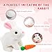 SUQ Bunby - Easter My Realistic Bunny Toy, Interactive Bunny Realistic Bunny - Jumping, Twitching, and Shaking Ears, Bunbi Realistic Bunny, Cute Bunny Toys, Bunny Realistic Bunny Toy (Brown)