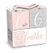 Lady Jayne Punch Studio Baby Girl Milestone Age Blocks Elephant Ella’s Dreams
