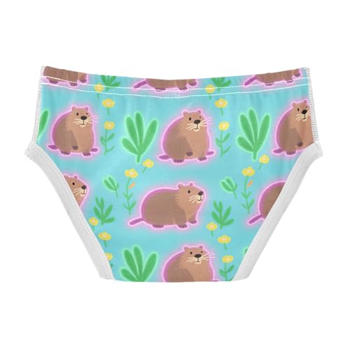 GuoChe Toddler Essentials Boy Cotton in Sizes 2T,3T, 4T, 5T, 6Y and 8Y2