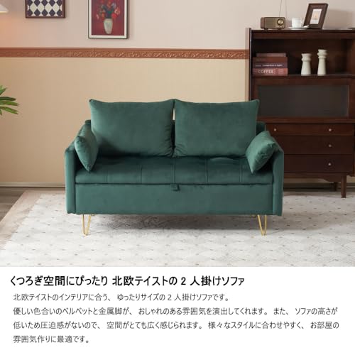 ソファー2人掛け収納付きクッション4個金属脚カウチ多機能アムレストイ自由二がおしゃれソファ [3]