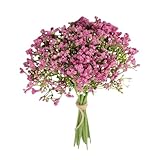 12 pezzi artificiali per la decorazione di bouquet di gipsofila per la composizione di fiori e ghirlanda di guanti leggeri (rosa, taglia unica)