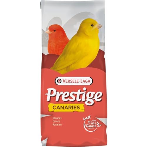 Versele Kanarien Zucht ohne Rübsen20kg