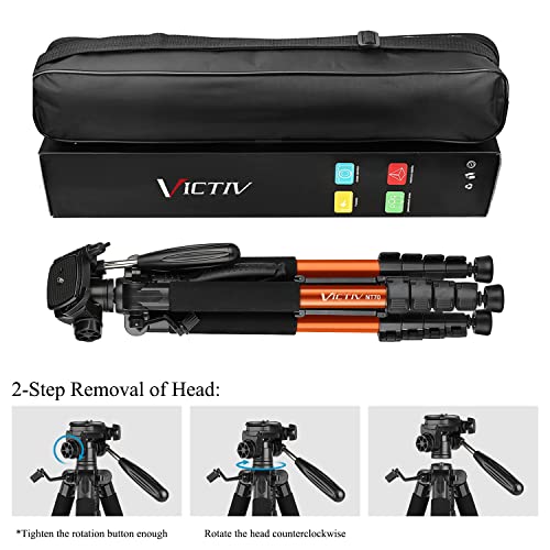 HISTOLINE SA3000 TREPPIEDE Binoculare Microscopio Stereomicroscopio Focus Stacking 126396734055