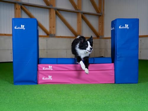 Callieway Turnier Agility Mauer „Bounce Over - Soft“ – alle FCI Sprunghöhen (Fuchsia/blau)