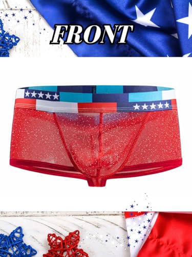 Mens Sexy Mesh Underwear, Sparkly Low Rise Boxers Briefs, USA American Flag Glitter, Sparkle Lingerie Bikini4