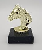  Fanshop Lünen Pokal - Pokale - Reiten - Pferde - Dressur - Springen - Figur 10 cm - Turnier - Sporttrophäe - Trophäe - Geburtstag - goldfarbig - (pf18) -