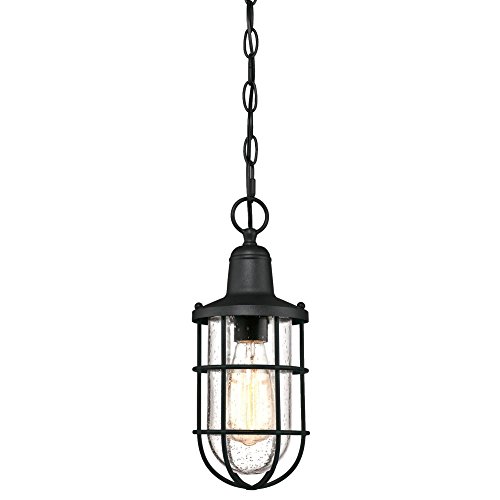 Westinghouse 6334800 Crestview One-Light...