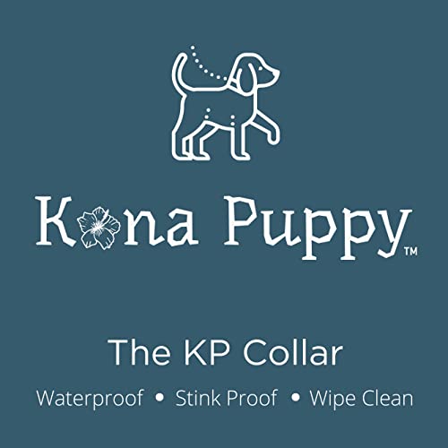 Collier de rechange étanche pour chien et clôture anti-fugue - 6