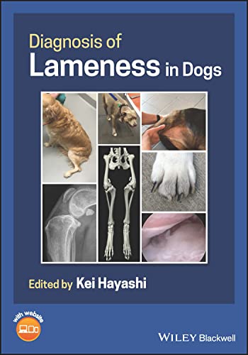 How does a dog's broken leg look like