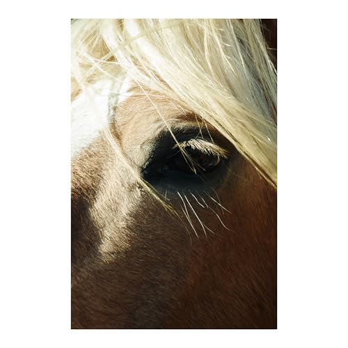 Sigma 16-300mm F3.5-6.7 DC OS Contemporary Lens (Canon RF