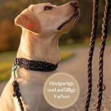 Ben&Bruno Hundehalsband | Breit & Verstellbar | 100% Handgefertigt | Robust, Sicher & Langlebig | Starkes Paracord Halsband | Halsbänder für Kleine, Mittelgroße & Große Hunde | Schwarz - L