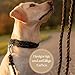 Ben&Bruno Hundehalsband | Breit & Verstellbar | 100% Handgefertigt | Robust, Sicher & Langlebig | Starkes Paracord Halsband | Halsbänder für Kleine, Mittelgroße & Große Hunde | Schwarz - L