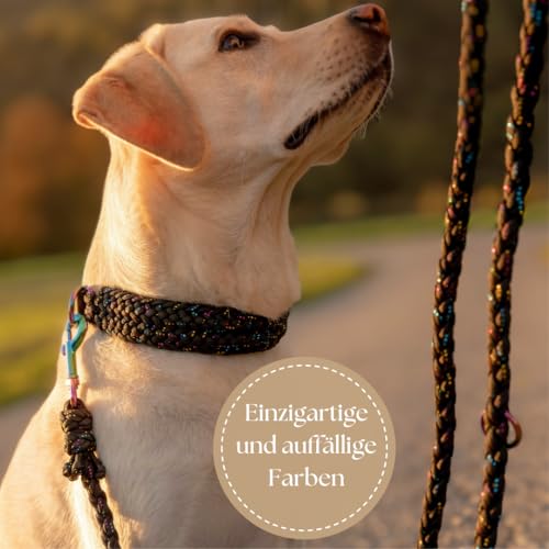 Ben&Bruno Hundehalsband | Breit & Verstellbar | 100% Handgefertigt | Robust, Sicher & Langlebig | Starkes Paracord Halsband | Halsbänder für Kleine, Mittelgroße & Große Hunde | Schwarz - L