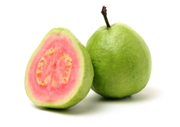 Image of Natura GreenHouse 1 Live Tiwan Pink Guava Amrud Plant hybrid all seasons Height 1.5-2 FT (Tiwan Pink)