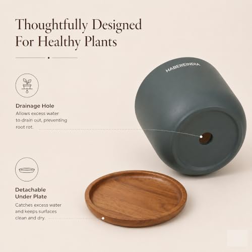 Image of Habere India-All the Cultures Fabricating India Plant Pot with Wooden Plate | Flower Pots for Dining Table & Home Decor | Terracotta Pot for Living Room Decoration (Dark Gray, Dia11 x H9.5 cm)