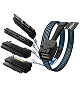 Amazon.com: OIKWAN Mini-SAS to SAS-Cable: 1M SFF8087 to SAS SFF