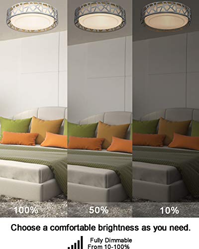 Flush Mount Ceiling Light, VICNIE 12 Inch Dimmable LED Hallway Light Fixtures Ceiling, 15W 1100 Lumens 3000K Warm White, ETL Listed,Brush Nickel Fihished,Metal Body and Acrylic Lampshade