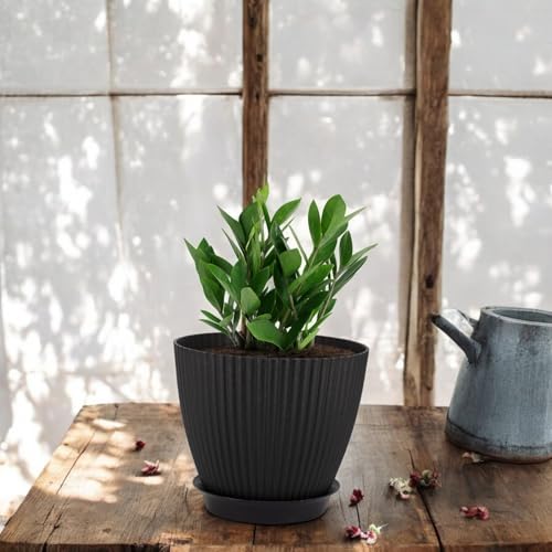 Image of GARDENS NEED 7 Inches Grand Round Flower Pot | Set of 5 | Black | Plastic Planter Pots for Indoor & Outdoor Home, Office & Balcony Decoration