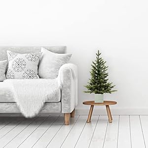 Haute Decor 30 Inch Tall UNLIT Fraser FIR Potted Tree in Wooden Pot Artificial Christmas Tree in Real Wood Planter Pot Natural Look Unlit Small Potted Tree