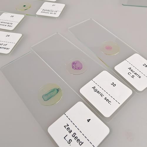 Image of 30 Pcs Microscope Slides Prepared Biology Specimen Lab Sample with Insects Plants Science Learning Home School