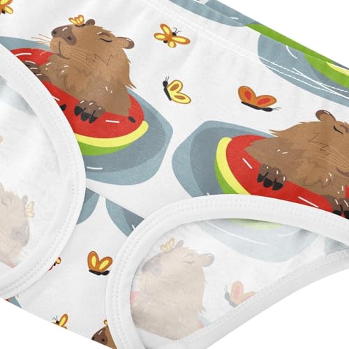 Wusikd Capybara Girls' Underwear Cotton Watermelon Butterfly Girls Briefs Soft Toddler Underwear 2T4