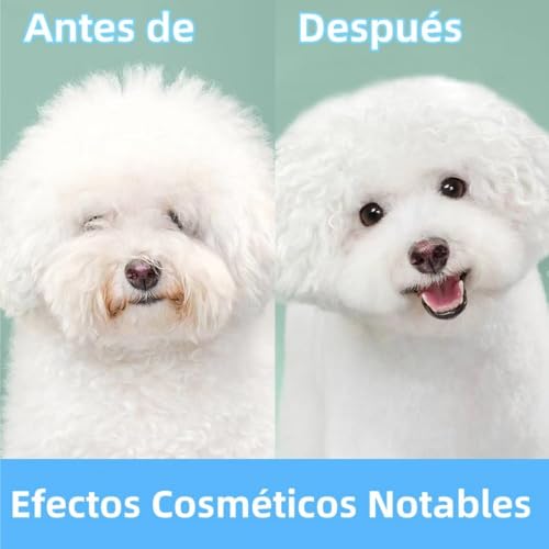 La mejor selección de Cepillo para perros los mejores 10. 8 La mejor selección de Cepillo para perros los mejores 10. 8