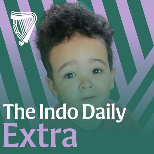 Extra: Human remains found during search for missing Donabate child Podcast Por  arte de portada