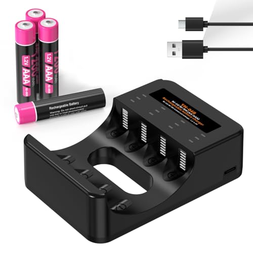 BOANV 4 Slots Chargeur Piles Rechargeable Charge Rapide pour AA AAA Rechargeable avec Port USB-C (4 Slots Chargeur +4AAA)