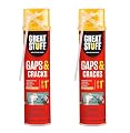 Great Stuff 157911 Insulating Foam Sealant, 20 Ounce, Ivory (Pack of 2)