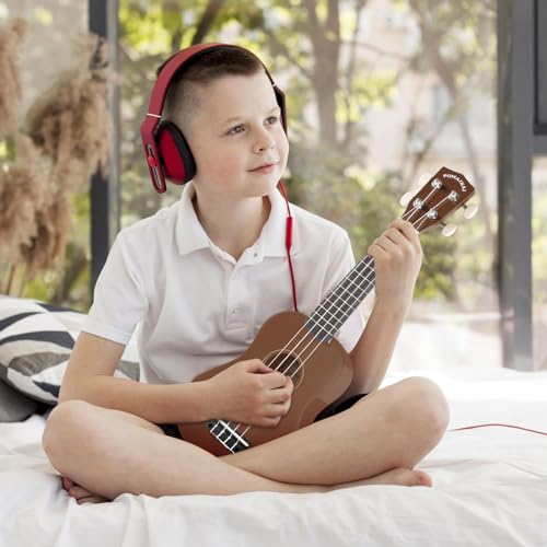 Image of POMAIKAI Soprano Wood Ukulele Rainbow Starter Uke Hawaii kids Guitar 21 Inch with Gig Bag for kids Students and Beginners (Brown)