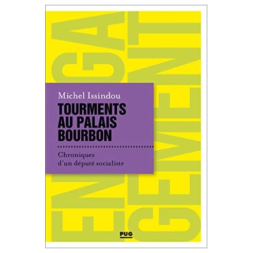 Tourments au palais Bourbon : Chroniques d'un député socialiste