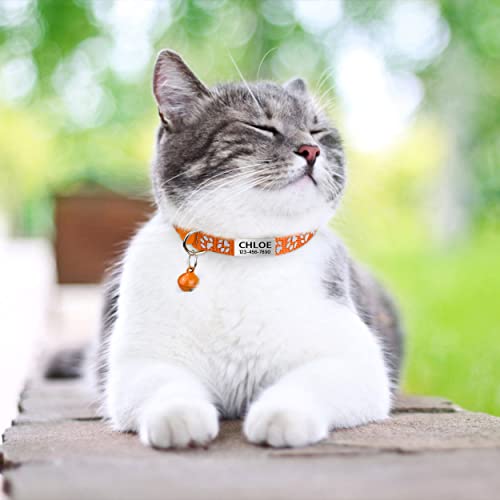 TagME 2er Pack Katzenhalsband mit Namen und Telefonnummer, Katzenhalsband mit Sicherheitsverschluss und glöckchen, 18-31 cm für Katzen, Orange