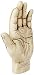 Design Toscano The Palmistry Hand Sculpture
