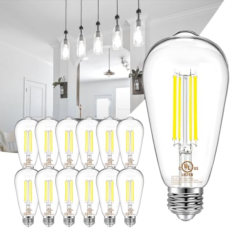 DAYBETTER 12 Pack Vintage LED Edison Bulbs, E26 Led Bulb 60W Equivalent, Dimmable Led Light Bulbs, High Brightness 800 LM Daylight White 5000K, ST58 Antique Filament Bulbs, Clear Glass Style for Home
