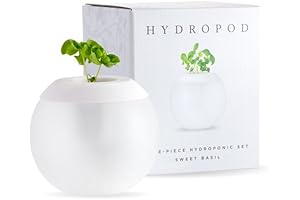 W&P Hydroponic Gardening Pod Planter: Growing Greenery in Style