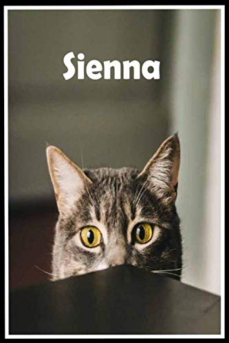 Siennal: Personalized cat Sketchbook For Girls & kids With Name - 6x9 120 Pages.Birthday gift idea,sketching a blank workbook 110 Pages, 6x9, Soft Cover, Matte Finish