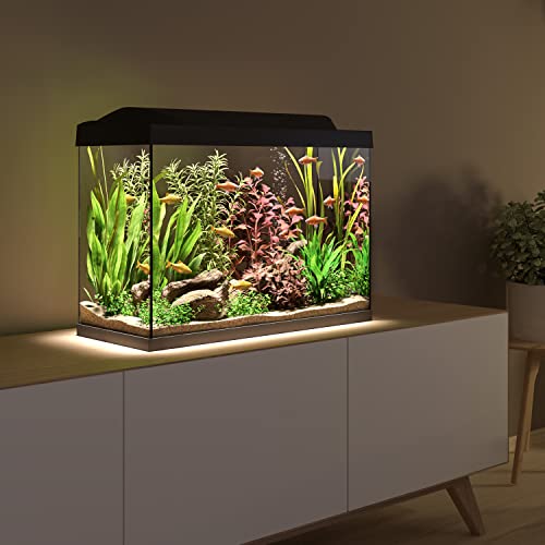 Tetra Starter Line 80 L Aquarium Komplett-Set - inkl. Tag- & Nachtlicht LED-Beleuchtung, Innenfilter, Heizer, Fischfutter und Wasseraufbereiter