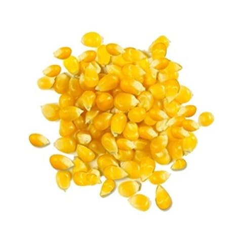 Giustos BG13568 Giustos Whole Yellow Corn - 1x25LB Cover