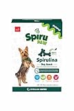SPIRU PAW Spirulina-Based Snack for Dogs Produced in The Atacama Dessert - Natural Supplement Nutrient-Rich, Essential Amino Acids & Prebiotics - 10 oz