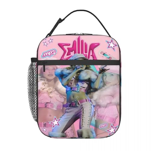 TFDGDGH Accesorios Emilia Mernes Bolsas de Almuerzo aisladas para la Escuela, Oficina, Bolsa de Almacenamiento de Alimentos, Nevera térmica portátil, loncheras
