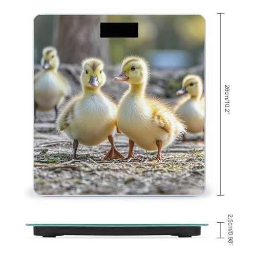 Báscula Digital Cute Ducks de Vidrio Templado para Baño miniatura 2