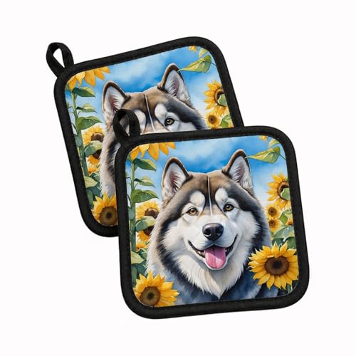 Caroline's Treasures Alaskan Malamute in Sunflowers Pair of Pot Holders Kitchen Heat Resistant Pot Holders Sets Oven Hot Pads for Cooking Baking BBQ, 7 1/2 x 7 1/2