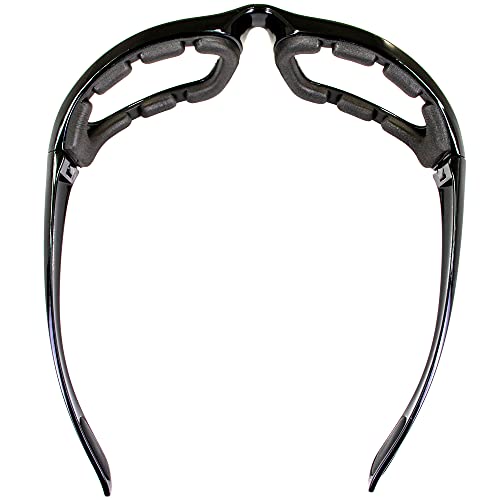 Birdz Oriole Motorcycle Padded Glasses Clear Anti Fog Foam Padding On The Entire Inside Of The Glasses #TOP3