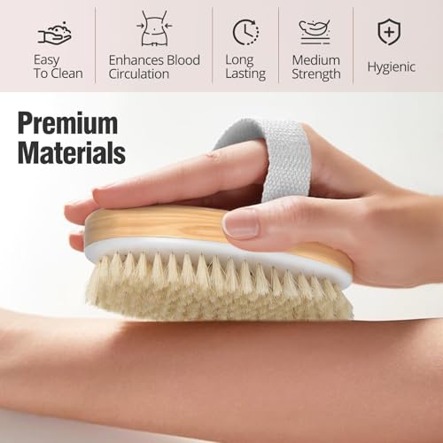 2 Pack Natural Bristle Dry Brush