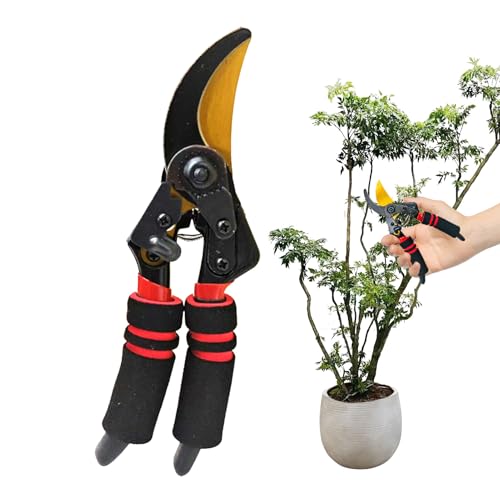 Cesoie Da Potatura Robuste | da Giardinaggio ad Alta Resistenza,Cesoie da Giardino per Piante Attrezzi | Per Verdure Bonsai Albero Pianta Manutenzione Taglio Uomini e Donne