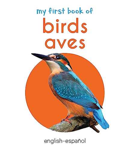 My First Book of Birds (English - Español): Aves (Spanish Edition)