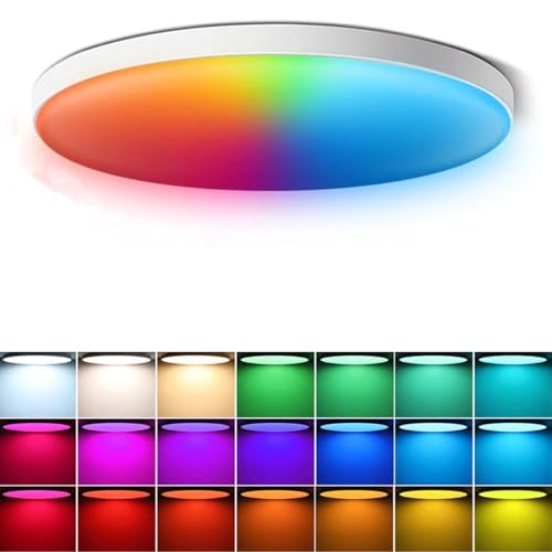 Lampe Plafond Intelligente Alexa Google Home avec Ambiance RGB Variable
